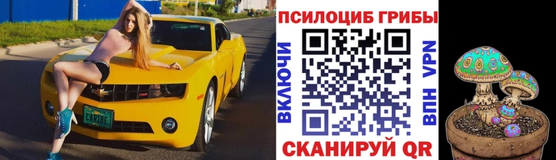 mega маркетплейс  Билибино  Псилоцибиновые грибы Cubensis 